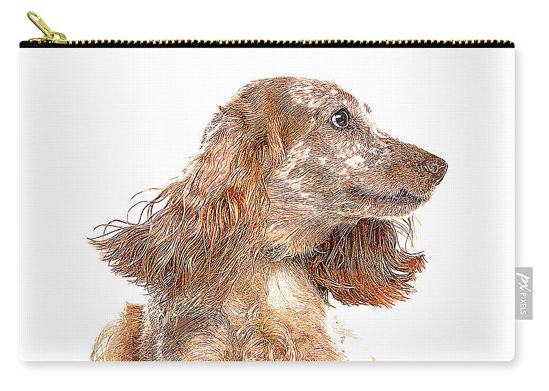 English Zip Pouch featuring the painting Very Smart Good Looker, English Cocker Spaniel Dog by Custom Pet Portrait Art Studio