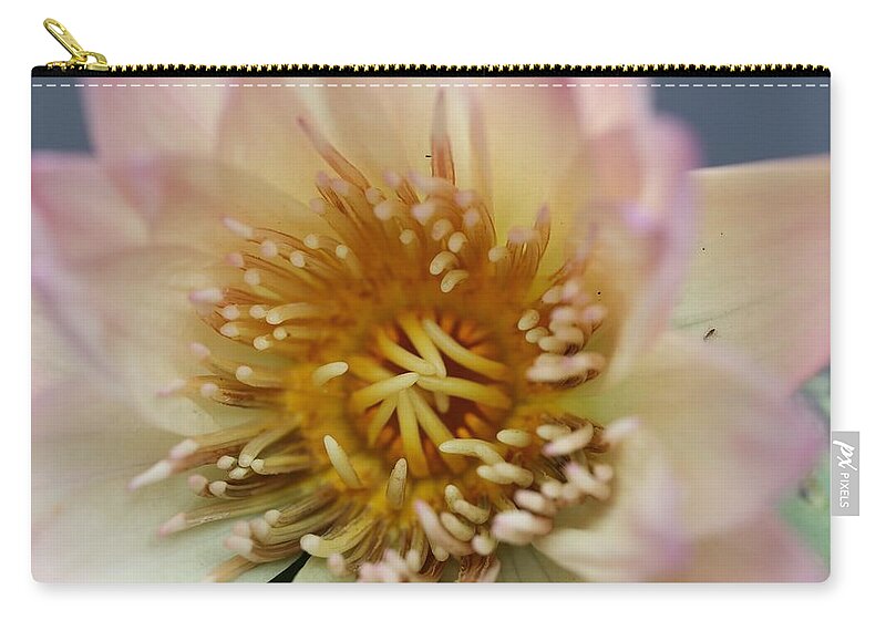 Water Lily Zip Pouch featuring the photograph Intricate and Vibrant by Mingming Jiang