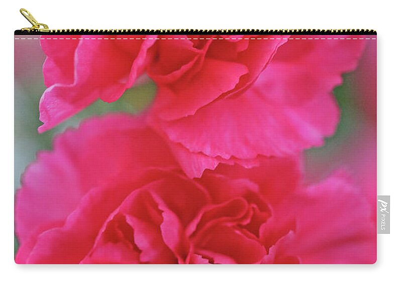 Carnations Zip Pouch featuring the photograph Vibrant Pink Carnations by Debbie Oppermann