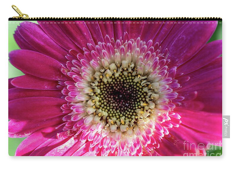 Pink Zip Pouch featuring the photograph Vibrant Pink Flower by Abigail Diane Photography