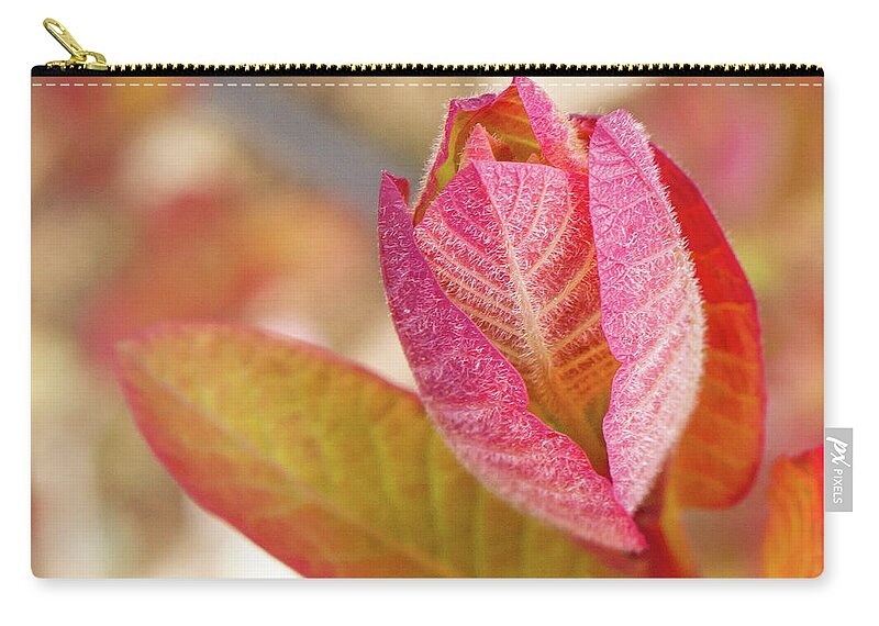 Garden Zip Pouch featuring the photograph Vibrant Red and Green Plant by Auden Johnson