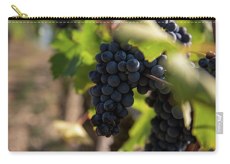 Orcia Zip Pouch featuring the photograph Vineyard in Montalcino by Eleni Kouri