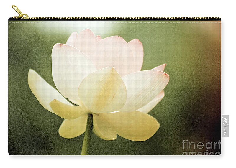 Lotus; Lotus Blossom; Water Lily; Water Lilies; Lily; Lilies; Flowers; Flower; Floral; Flora; White; White Water Lily; White Flowers; Green; Pink; Vintage; Simple; Decorative; Décor; Abstract; Close-up Carry-all Pouch featuring the photograph Vintage Lotus by Tina Uihlein
