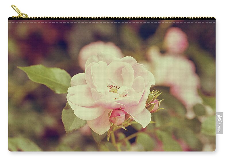 Rose Zip Pouch featuring the photograph Vintage Pink Rose by Tanya C Smith