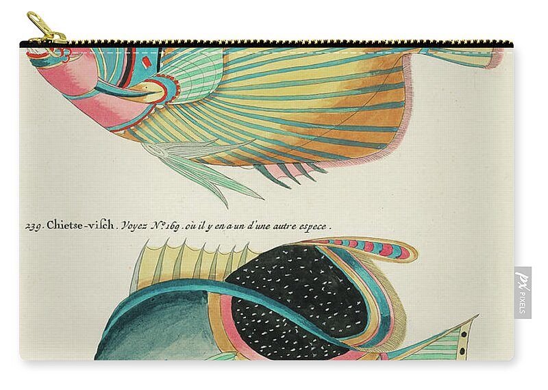 Fish Zip Pouch featuring the digital art Vintage, Whimsical Fish and Marine Life Illustration by Louis Renard - Empereur du Japon, Chietse by Louis Renard