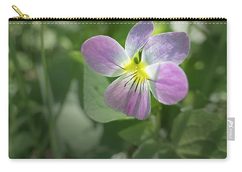 Violet Carry-all Pouch featuring the photograph Violet In The Woods by Karen Rispin