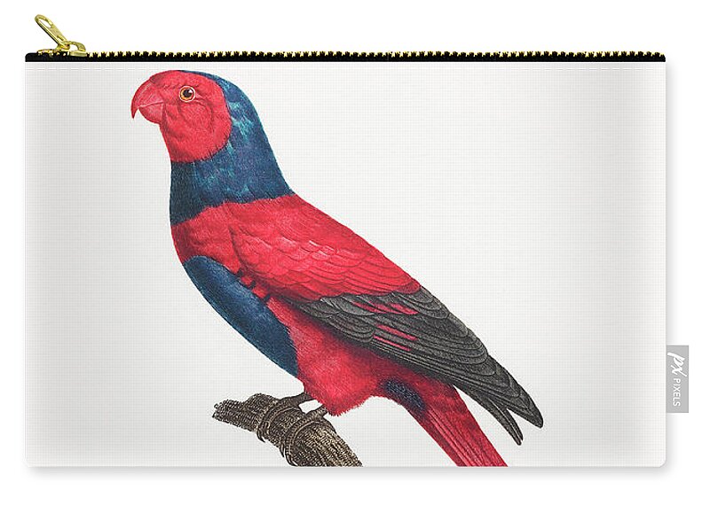 Violet-necked Lory Zip Pouch featuring the mixed media Violet Necked Lory by World Art Collective