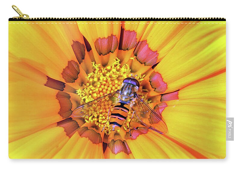 Macro Zip Pouch featuring the photograph Visiting Gazania by Terence Davis