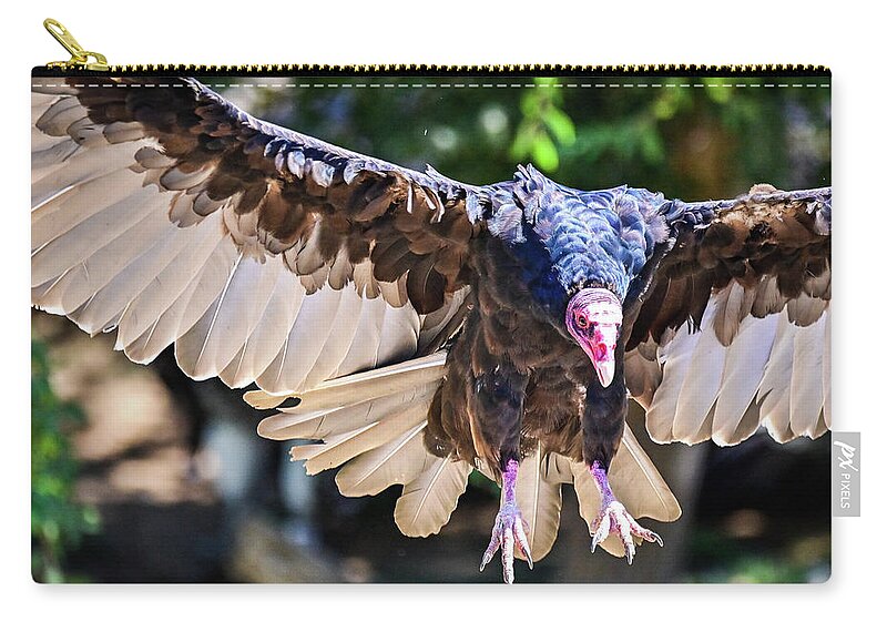 Bird Zip Pouch featuring the photograph Vulture coming in hot by Ed Stokes