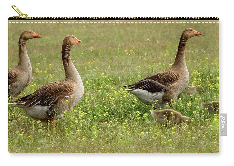 Geese Zip Pouch featuring the photograph Waddling Through the Wildflowers by Marcy Wielfaert
