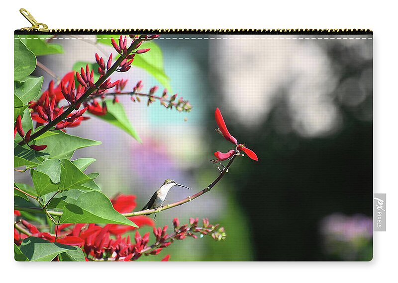 Hummingbird Zip Pouch featuring the photograph Walking on Sunshine by Kerri Farley