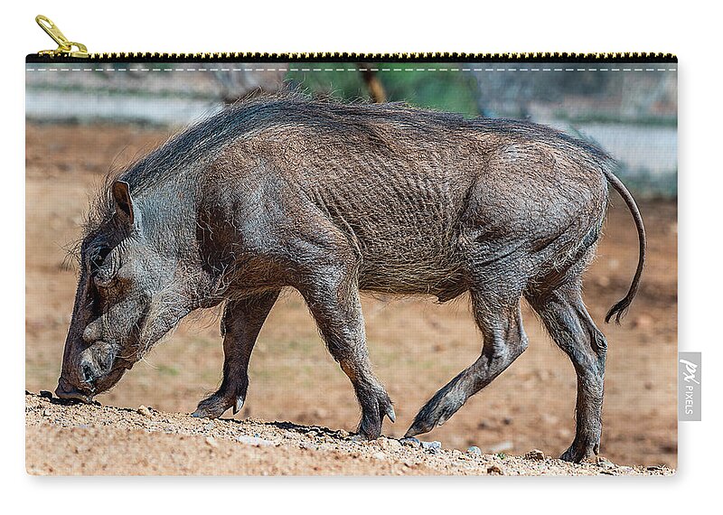  Carry-all Pouch featuring the photograph Warthog by Al Judge