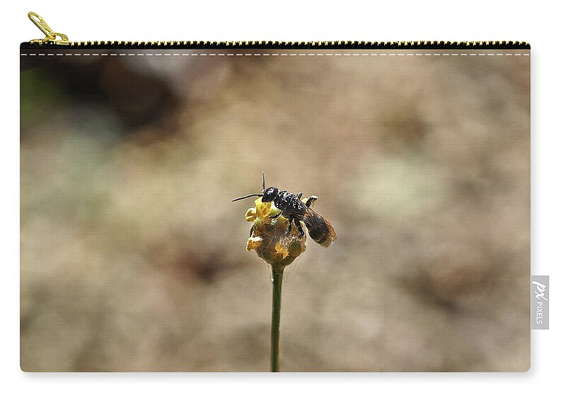 Wasp Zip Pouch featuring the photograph Wasp on a Bulb by WAZgriffin Digital