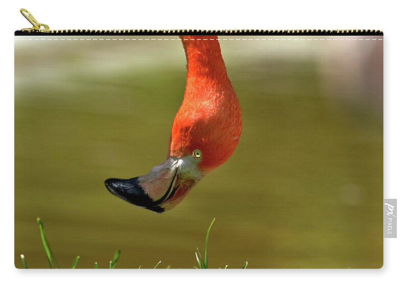 Nature Zip Pouch featuring the photograph Watching You Watching me by Stephen Melia