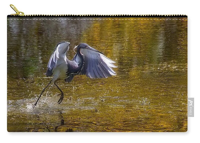 Tri-colored Heron Zip Pouch featuring the photograph Water Dancer I by Chrystyne Novack