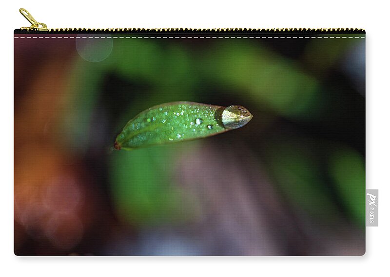 Leaf Zip Pouch featuring the photograph Water Drop on a Leaf Tip by Amelia Pearn