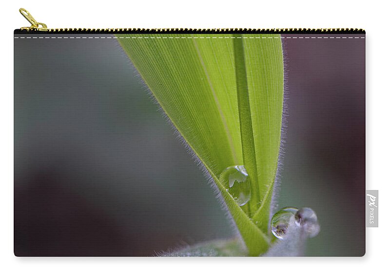 Water Carry-all Pouch featuring the photograph Water Drop On Grass by Karen Rispin