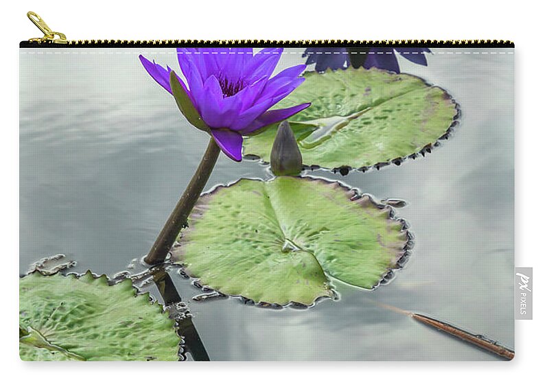 Lily Zip Pouch featuring the photograph Water Lilies in Portrait by Cate Franklyn