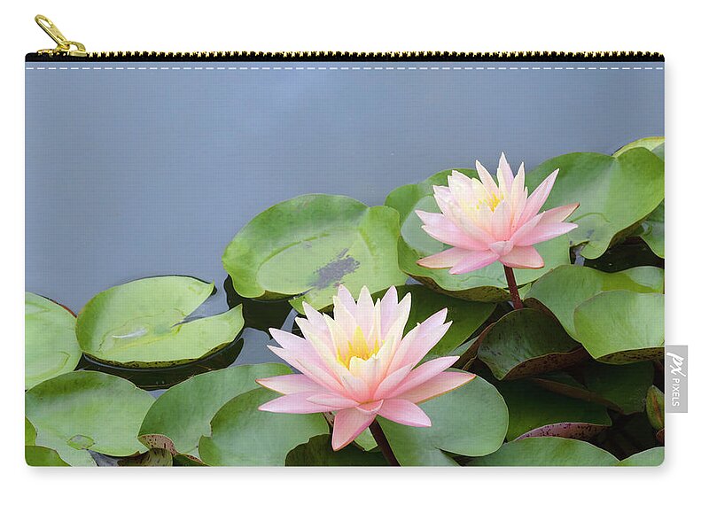 Water Lilies Zip Pouch featuring the photograph Water Lilies by Patty Colabuono