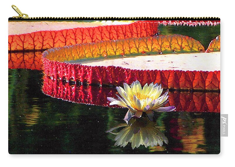 Water Lily Zip Pouch featuring the photograph Water Lily Design by John Lautermilch