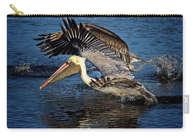 Brown Pelican Zip Pouch featuring the photograph We Have Liftoff by Ronald Lutz