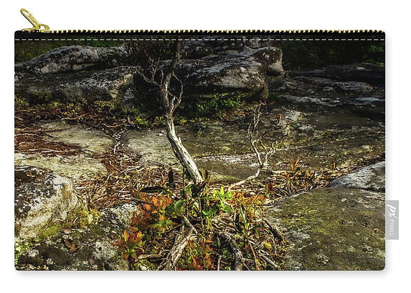 Landscape Zip Pouch featuring the photograph Weathered by Jason Funk