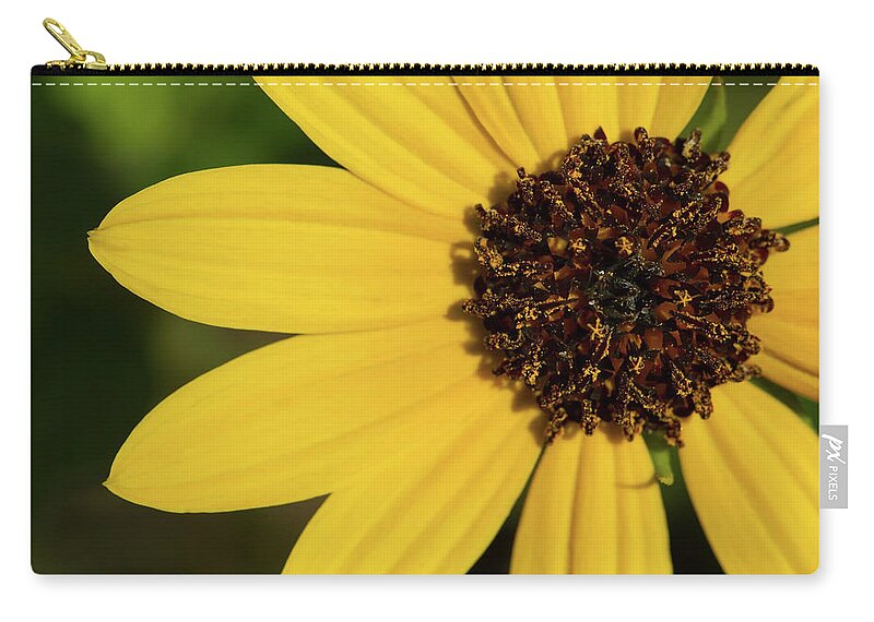 Sunflower Zip Pouch featuring the photograph West Coast Dune Sunflower by Paul Rebmann