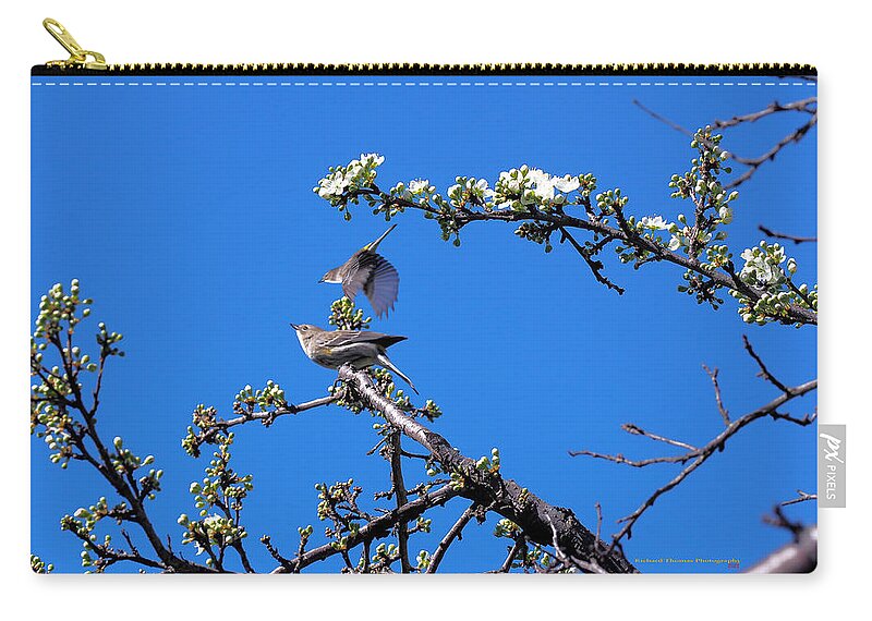 Animal Zip Pouch featuring the photograph Western Kingbird by Richard Thomas