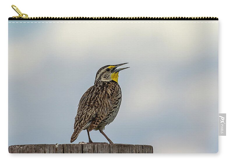 Western Meadowlark Carry-all Pouch featuring the photograph Western Meadowlark 2014 by Thomas Young