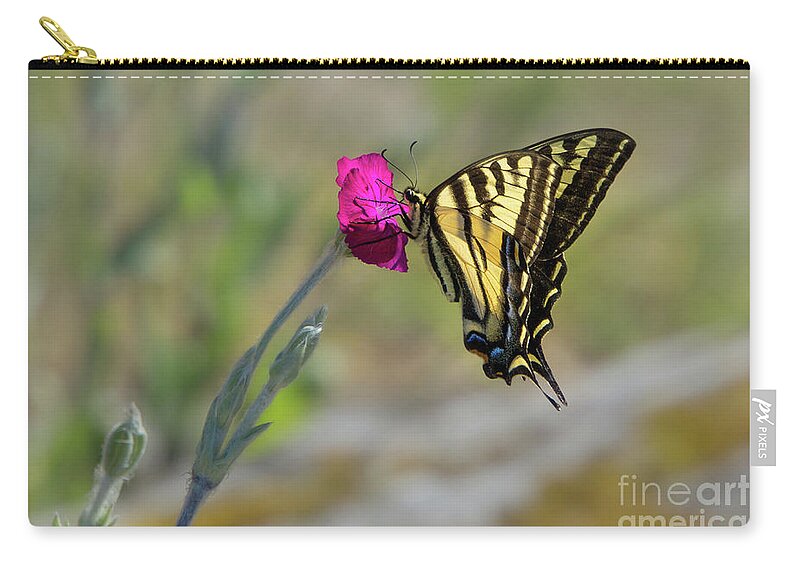 Lepidoptera Zip Pouch featuring the photograph Western Tiger Swallowtail on Rose Campion Flower #4 by Nancy Gleason