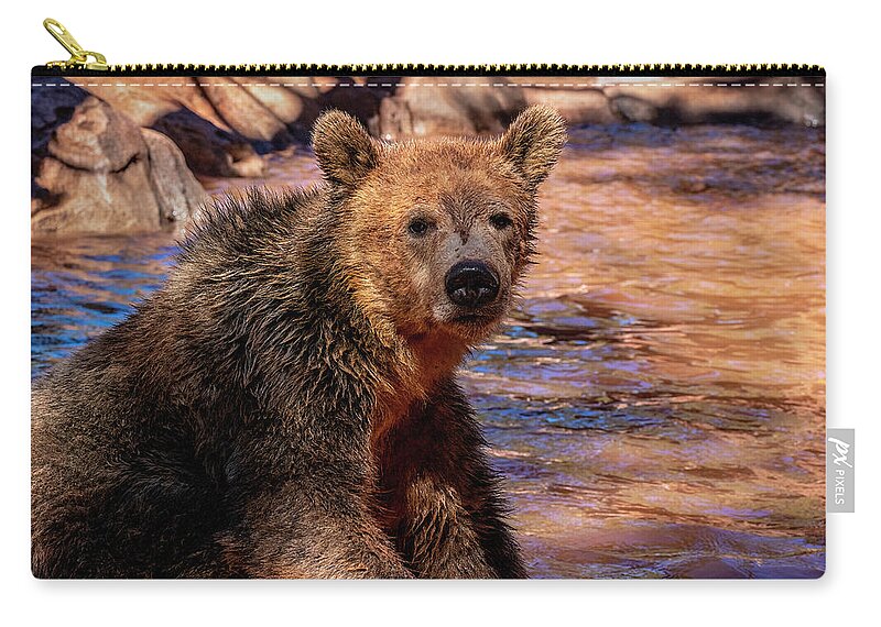 Sedona Zip Pouch featuring the photograph Wet Bear by Al Judge