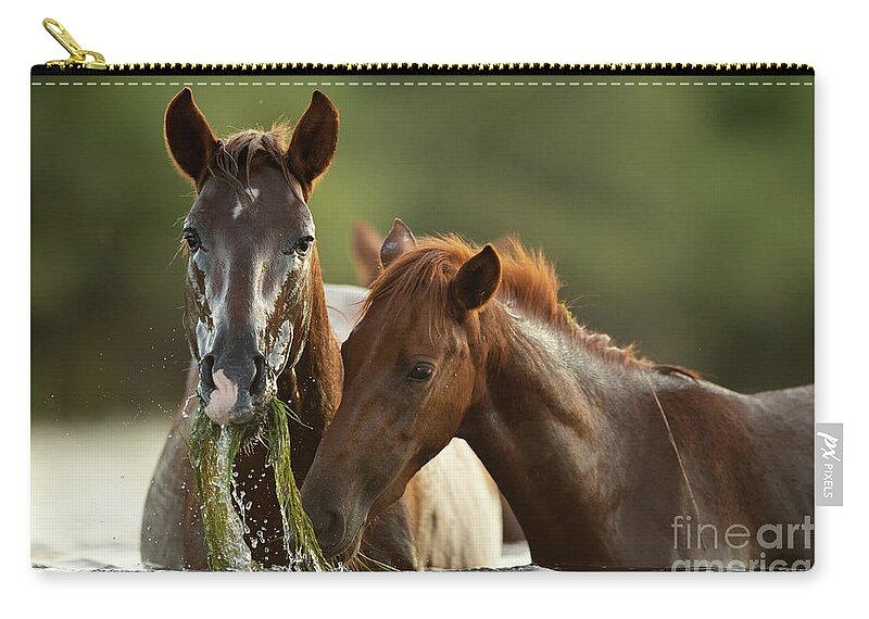 Salt River Wild Horses Zip Pouch featuring the photograph Wet Face by Shannon Hastings