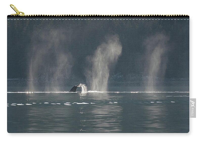 Whale Zip Pouch featuring the photograph Whale Tail in the Sun by David Kirby