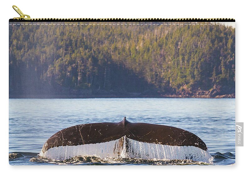 Whale Tale Carry-all Pouch featuring the photograph Whale Tale 1 by Michael Rauwolf