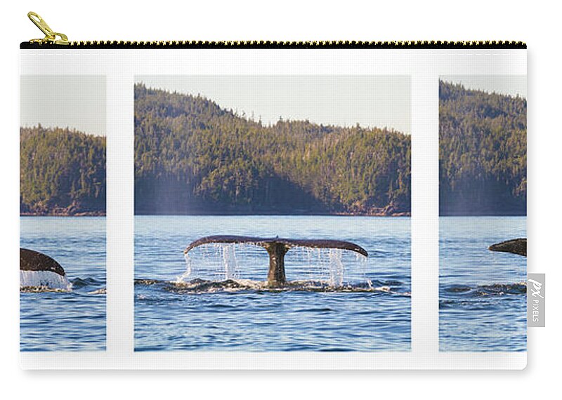 Whale Carry-all Pouch featuring the photograph Whale Tale Trio by Michael Rauwolf