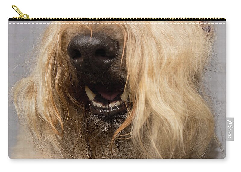 Wheaten Zip Pouch featuring the photograph Wheaten Face Mask 4 by Rebecca Cozart