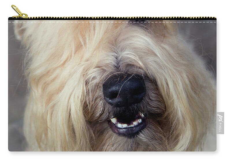 Wheaten Zip Pouch featuring the photograph Wheaten Face Mask 2 by Rebecca Cozart