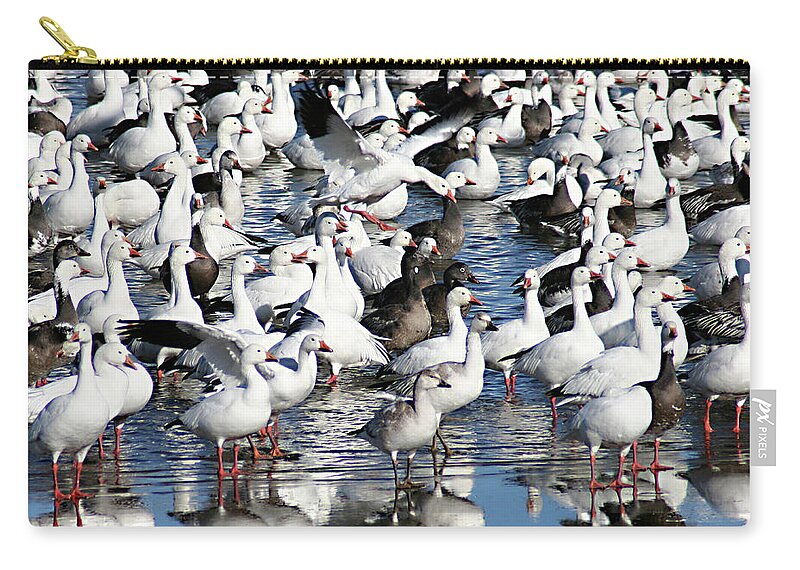 Fowl Zip Pouch featuring the photograph Where is Goose by Steve Karol