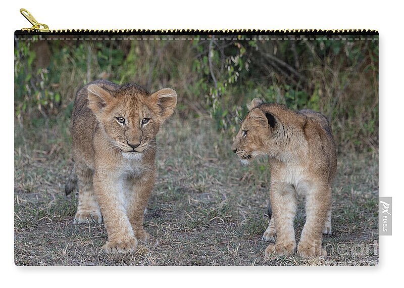 Animals Zip Pouch featuring the photograph Where Ya Going? by Sandra Bronstein