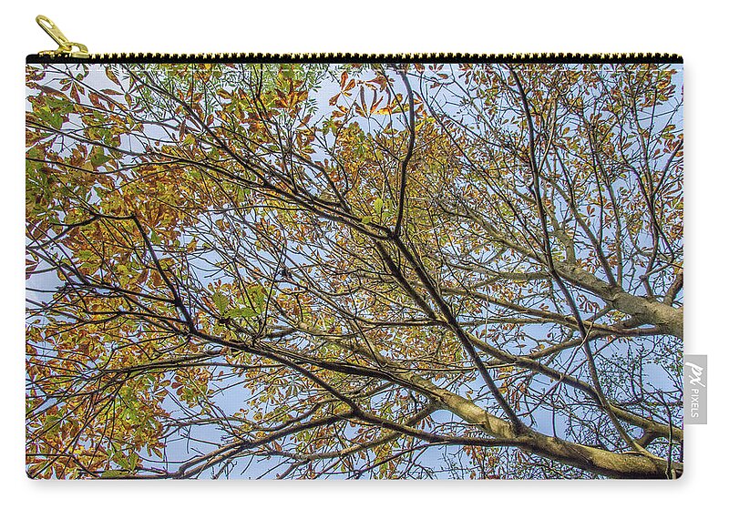 Whetstone Stray Zip Pouch featuring the photograph Whetstone Stray Trees Fall 13 by Edmund Peston