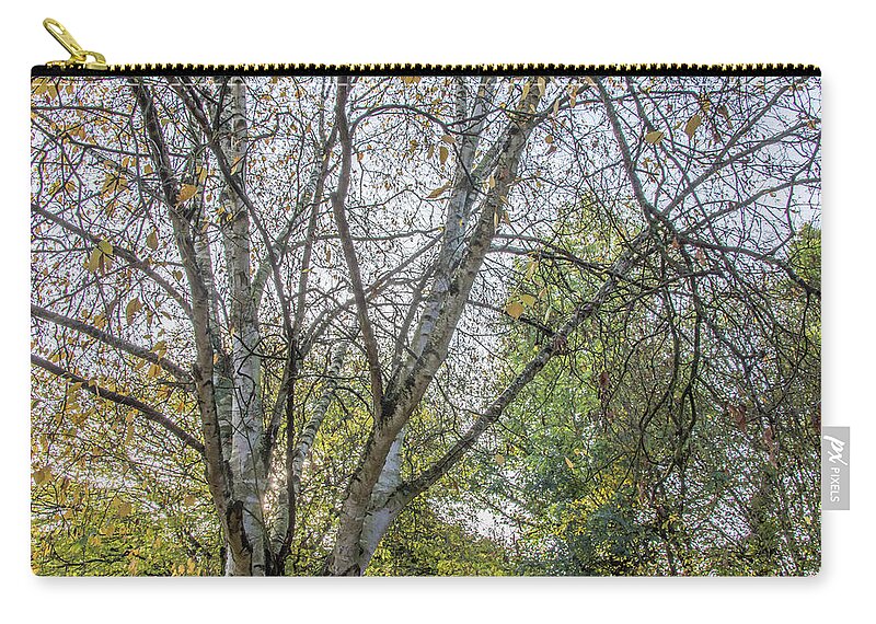 Whetstone Stray Zip Pouch featuring the photograph Whetstone Stray Trees Fall 5 by Edmund Peston