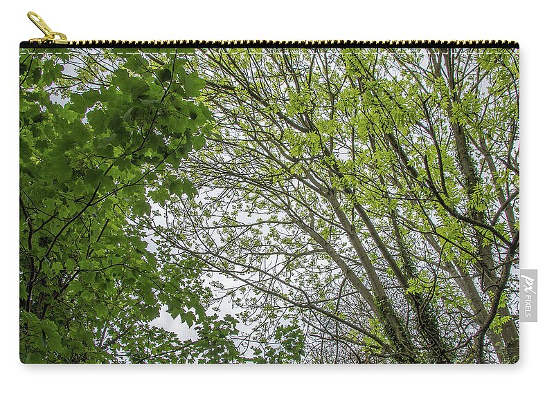 Whetstone Stray Zip Pouch featuring the photograph Whetstone Stray Trees Spring 1 by Edmund Peston