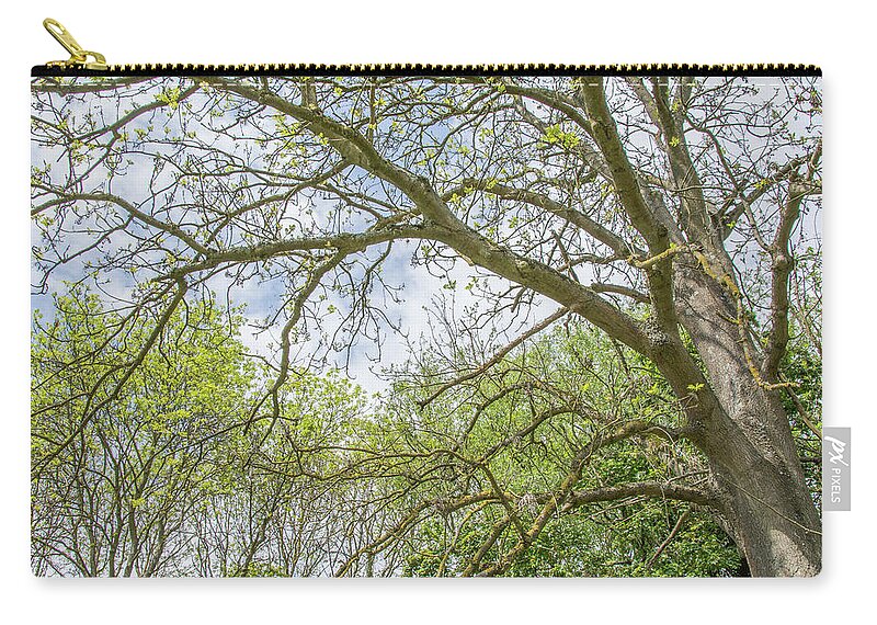 Whetstone Stray Zip Pouch featuring the photograph Whetstone Stray Trees Spring 3 by Edmund Peston