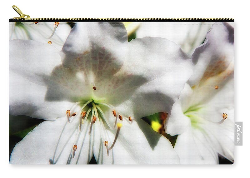 Color Zip Pouch featuring the photograph Whilte Azaila by Alan Hausenflock