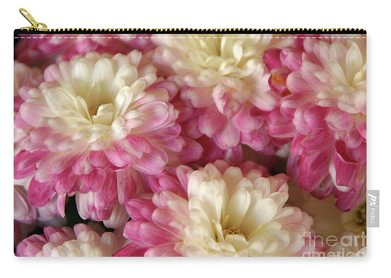 Flora Zip Pouch featuring the photograph White and Pink Mums by Mariarosa Rockefeller
