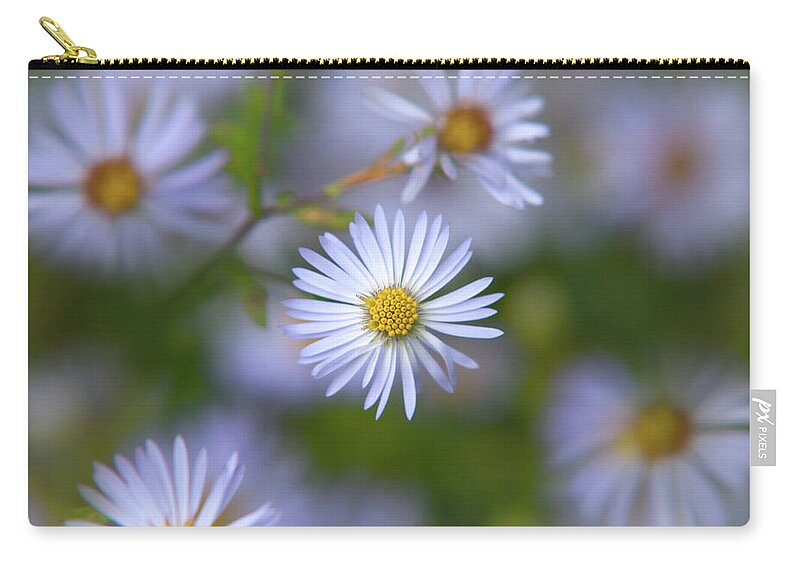 White Flowers Zip Pouch featuring the photograph White Aster Flower by Christina Rollo