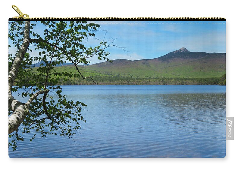 Whitebirchofnh Zip Pouch featuring the photograph White Birch of NH by Vicky Edgerly