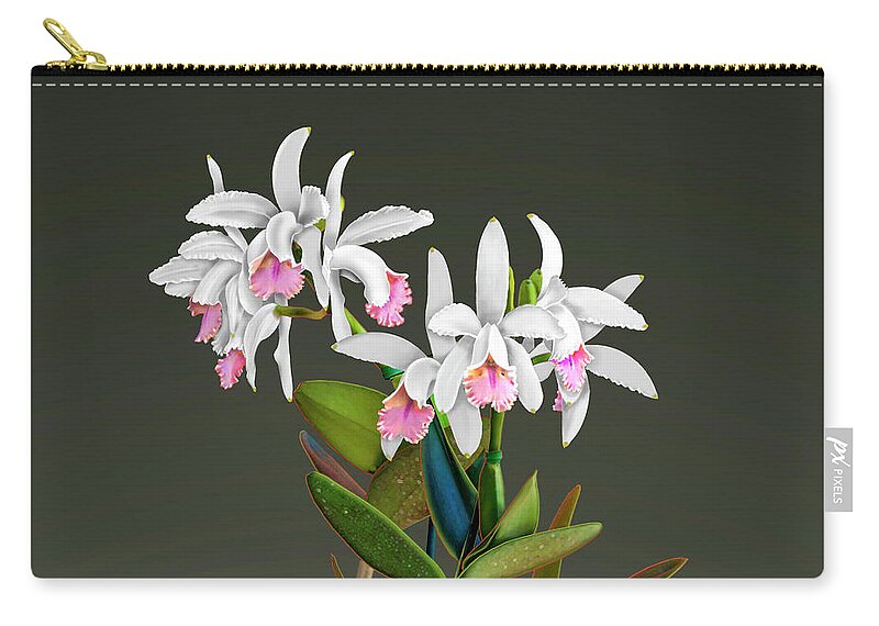 White Cattleya Orchids Zip Pouch featuring the painting White Cattleya Orchids by David Arrigoni