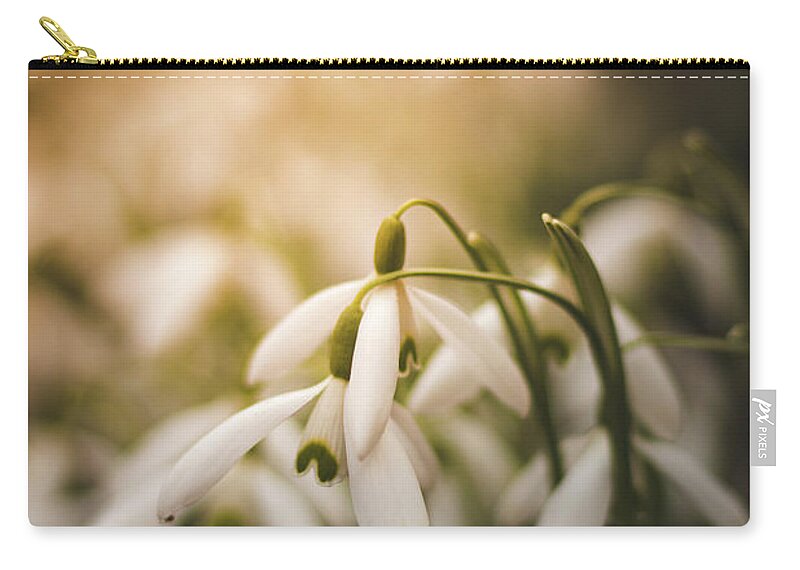 Europe Carry-all Pouch featuring the photograph White common snowdrop - prank of nature by Vaclav Sonnek