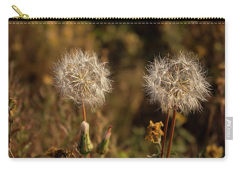 Dandelion Zip Pouch featuring the photograph White Dandelions by K Bradley Washburn